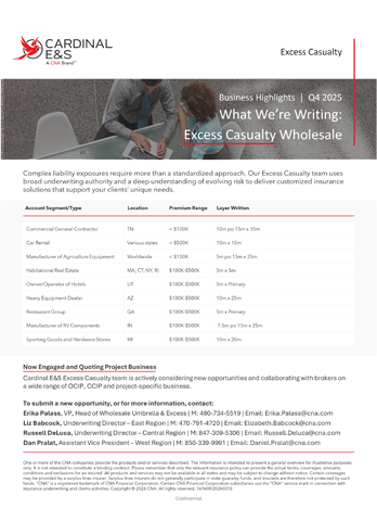 First page of Casualty Successes flyer