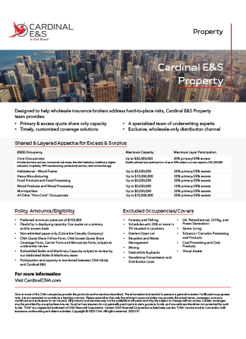 Cardinal E&S Property Brochure